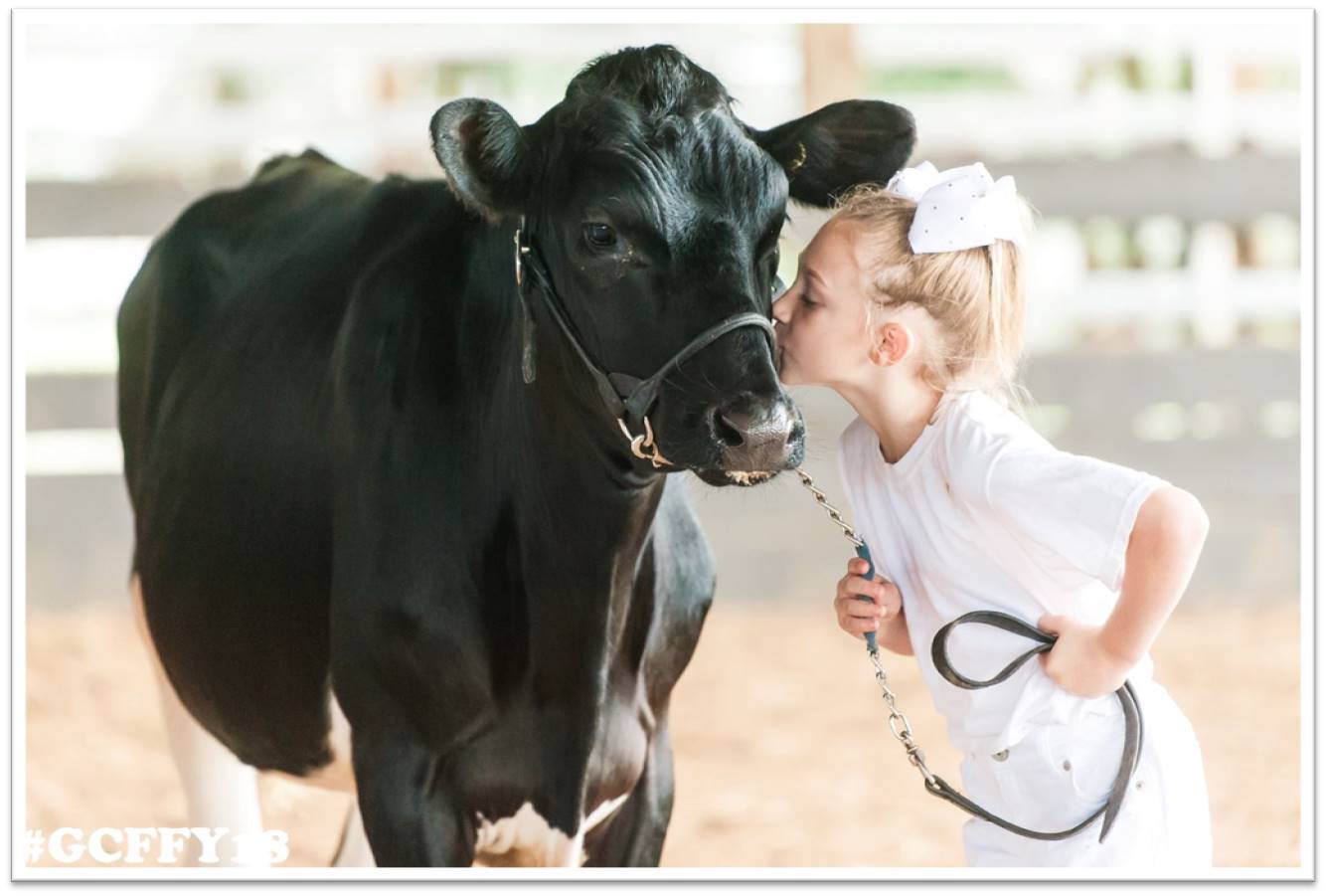 Gratiot County Fair for Youth Michigan Fairs and Exhibitions